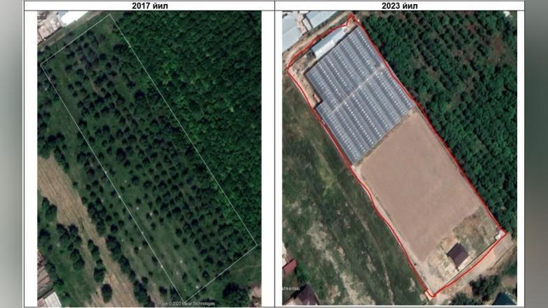 '"Дендропарк"да дарахтлар нобуд қилингани ортидан жиноят иши қўзғатилди'ning rasmi