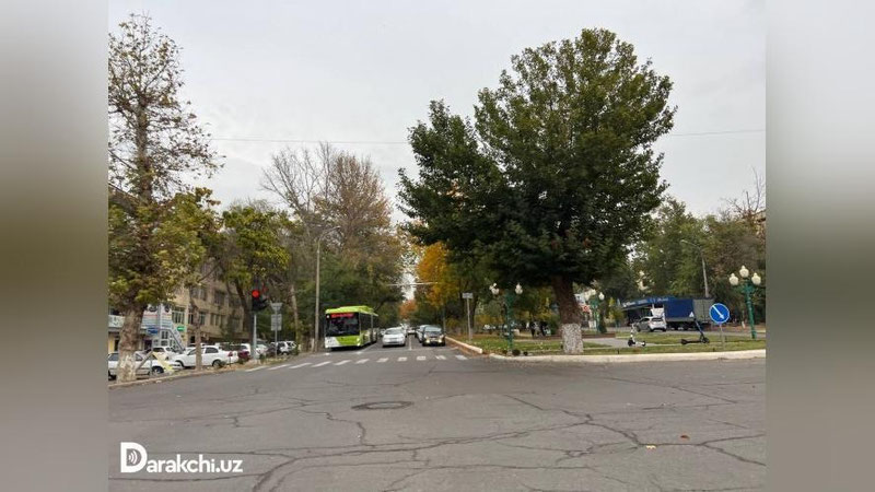 'O`zbekiston bo`ylab bugun harorat 24° iliq bo`ladi'ning rasmi