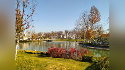 Изрображение 'Прошедший ноябрь в Узбекистане стал самым теплым за всю историю метеонаблюдений'