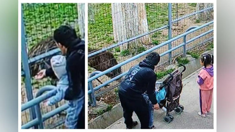 'Toshkent hayvonot bog`ida tomoshabin tashlagan ozuqani emoqchi bo`lgan qushning boshi uzilib ketishiga sal qoldi (video)'ning rasmi