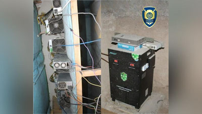 'Zangiota tumanida “Mayning ferma” tashkil etgan shaxs aniqlandi'ning rasmi