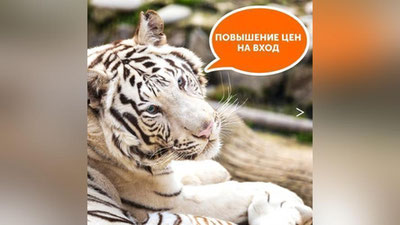 Изрображение 'Ташкентский зоопарк повысил стоимость входных билетов'
