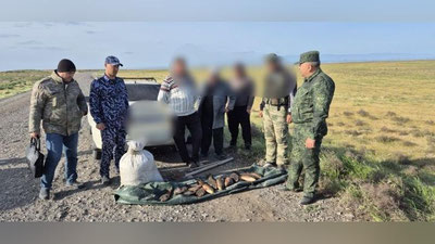 'Жиззахда ноқонуний балиқ овлаганлар ушланди'ning rasmi