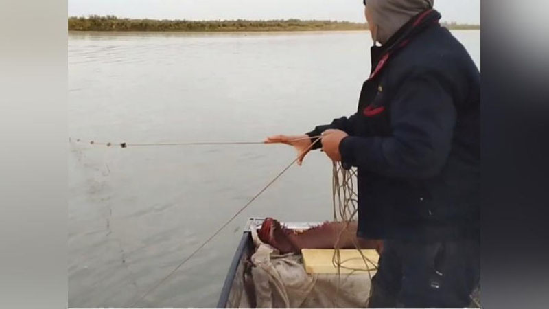 Изрображение 'Задержаны подозреваемые в нападении на инспекторов-экологов в Ташкентской области'