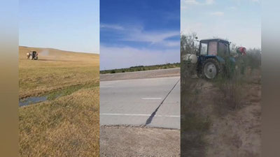 'Buxoro viloyatida chigirtkalar galasi bartaraf etilgani ma`lum qilindi'ning rasmi