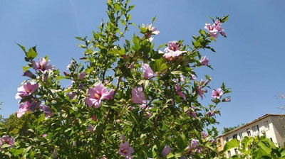 Изрображение 'Какая погода нас ждет на длинных выходных?'