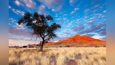 Изрображение 'В Джизаке мошенник вместо США отправил мужчину ... в Африку'