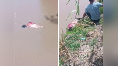 Изрображение 'Из Большого Ферганского канала выловили труп мужчины'