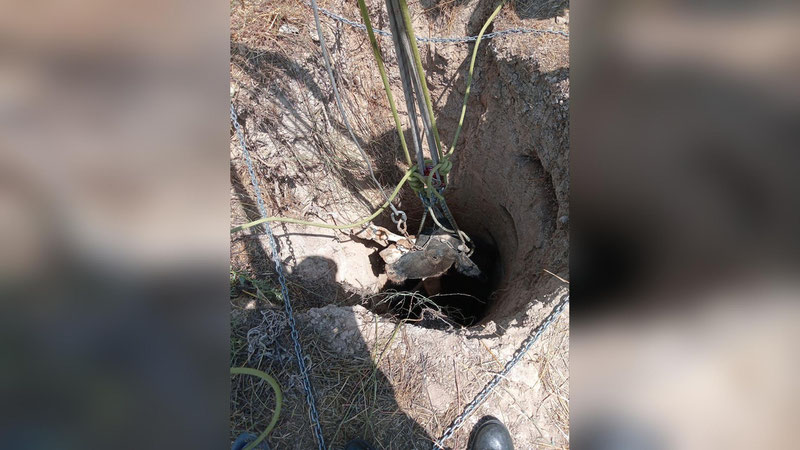 Image of 'In Jizzakh, a citizen's cattle fell into a 10 meter deep hole.'