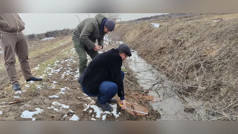 'Сирдарёда 21 туп қайрағоч дарахтини кесганлар озодликдан маҳрум қилинди'ning rasmi