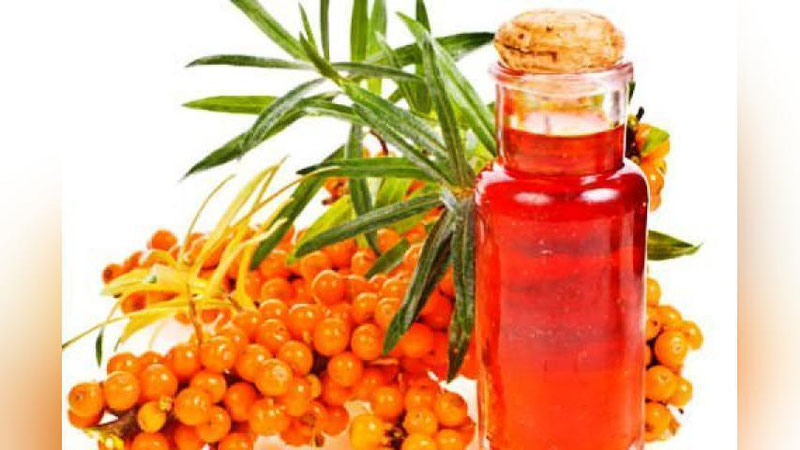 'ChAKANDA YoG`I — TERI HIMOYaChISI'ning rasmi