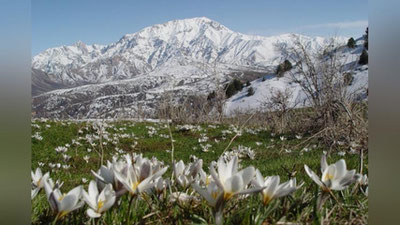 'Баҳорнинг илк кунини қандай об-ҳаво билан кутиб оламиз?'ning rasmi