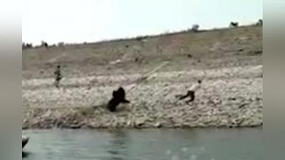 'Hindistonda ayiq odamga hujum qildi'ning rasmi