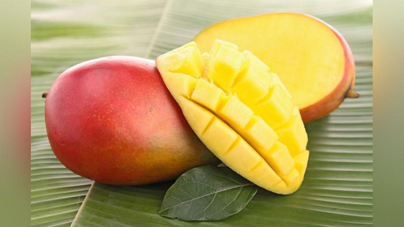 'MANGO VA GREYPFRUTNING FOYDA VA ZARARI'ning rasmi