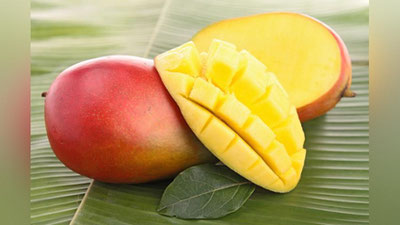 'MANGO VA GREYPFRUTNING FOYDA VA ZARARI'ning rasmi