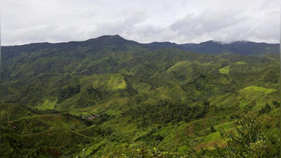 'MADAGASKARDA  30 KIShI TROPIK DOVUL QURBONIGA  AYLANDI  'ning rasmi