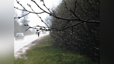 Изрображение 'УЗГИДРОМЕТ: НЕДЕЛЯ БУДЕТ ДОЖДЛИВОЙ И ПРОХЛАДНОЙ'