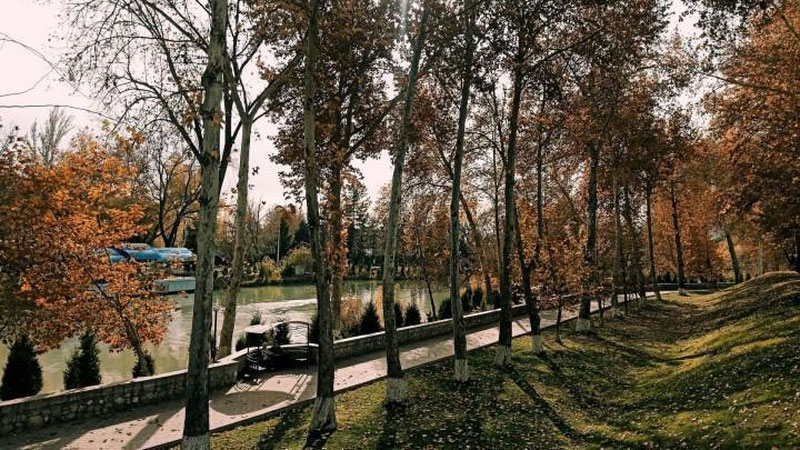 'Bugun O`zbekistonda yog`ingarchiliksiz, iliq ob-havo kuzatiladi'ning rasmi