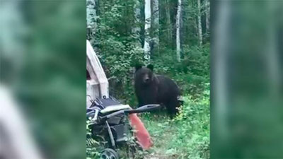 '​Иркутскда улкан ўғри айиқ отиб ўлдирилди'ning rasmi