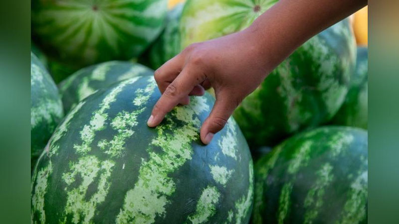 'Sankt-Peterburgda o`zbekistonlik erkak tarvuzni qimmat sotgani uchun pichoqlab ketildi'ning rasmi