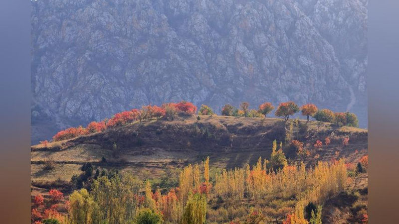 'Kuz oylarida O`zbekistonda qanday ob-havo bo`lishi ma`lum qilindi'ning rasmi