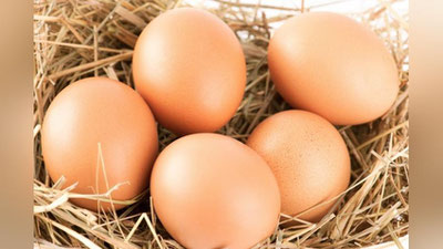 'Уй тухуми деган тушунча йўқ — бу айёрона маркетинг ҳийласи'ning rasmi