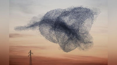 'Qoraqalpog`istonda noyob tabiat hodisasi kuzatildi(video)'ning rasmi