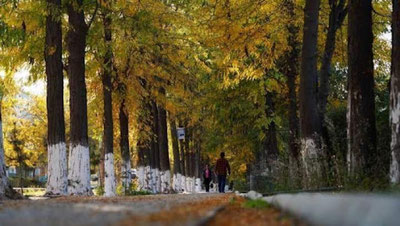 '10 sentyabr kuni O`zbekistonning ayrim hududlaria yomg`ir yog`ishi kutilmoqda'ning rasmi