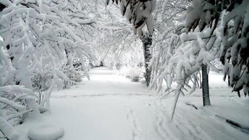 '"Ўзгидромет": "Бугун тоғли ҳудудларда қор ёғиши мумкин"'ning rasmi