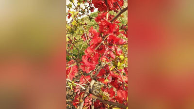 Изрображение 'КАКАЯ ПОГОДА НАС ЖДЕТ 7 МАРТА?'