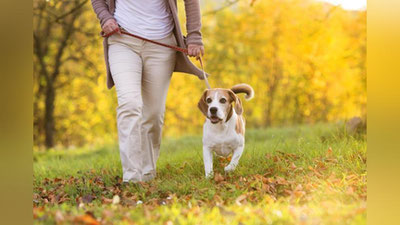 Изрображение 'КАЖДОЕ ЖИВОТНОЕ В УЗБЕКИСТАНЕ ВОЗЬМУТ НА УЧЕТ'