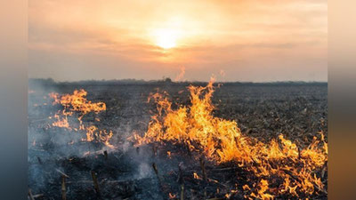 Изрображение 'В Минэкологии напомнили, чем грозит сжигание стеблей соломы на полях после уборки зерна'