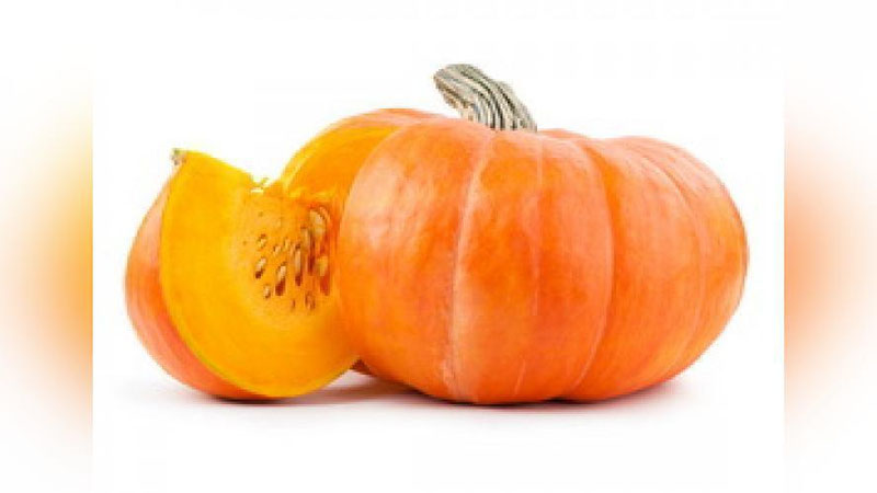 'Shifo maslahat: QOVOQ URUG`I PARAZITLARNI TUShIRADIMI?'ning rasmi