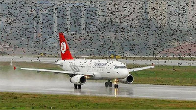 '"Istanbul – Nyu-York" yo`nalishida parvoz qilgan samolyot qushlar galasiga duch keldi 'ning rasmi