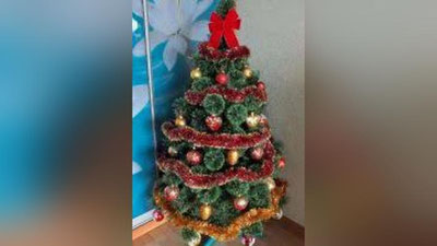 'ФВВ ЯНГИ ЙИЛ АРЧАСИНИ ЎРНАТИШ БОРАСИДА ЎЗ ТАВСИЯЛАРИНИ БЕРДИ'ning rasmi