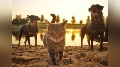 '​2017 yil yanvar oyining eng yaxshi selfisi aniqlandi'ning rasmi