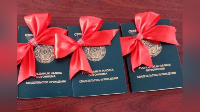 'Tug`ilganlik haqida guvohnoma «bir darcha» orqali beriladi'ning rasmi