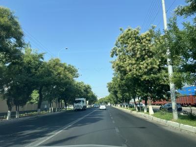 'Бугун Ўзбекистонда ҳарорат яна кўтарила бошлайди'ning rasmi