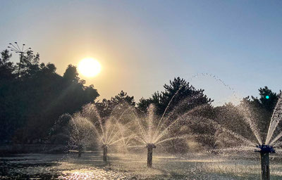 'Бугун ҳам Ўзбекистонда юқори ҳарорат сақланиб туради'ning rasmi