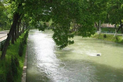 Image of 'The body of an unidentified man was found in the Borijar Canal in Tashkent.'