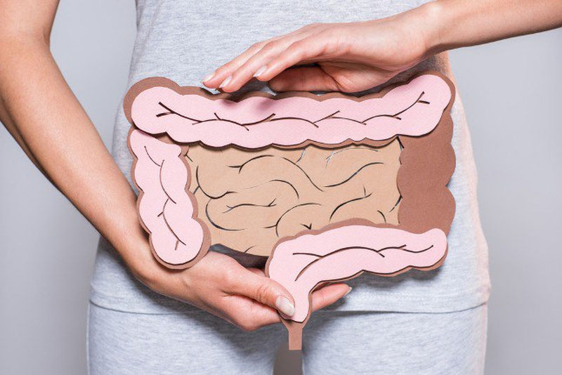 Image of 'How can the gut microbiota be restored after taking antibiotics?'