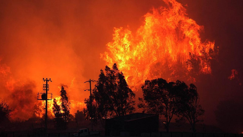 'Туркиянинг бир нечта ҳудудида ўрмон ёнғинлари кузатилмоқда'ning rasmi