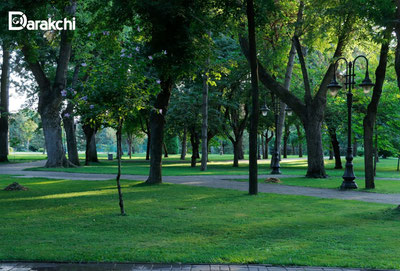 '19 август учун об-ҳаво маълумоти эълон қилинди'ning rasmi