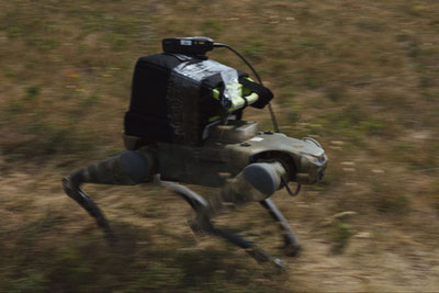 Image of 'Robotic dogs have begun service at the front.'