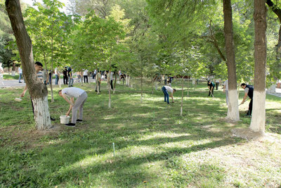 Изрображение 'В Узбекистане стартовал всенародный благотворительный хашар'