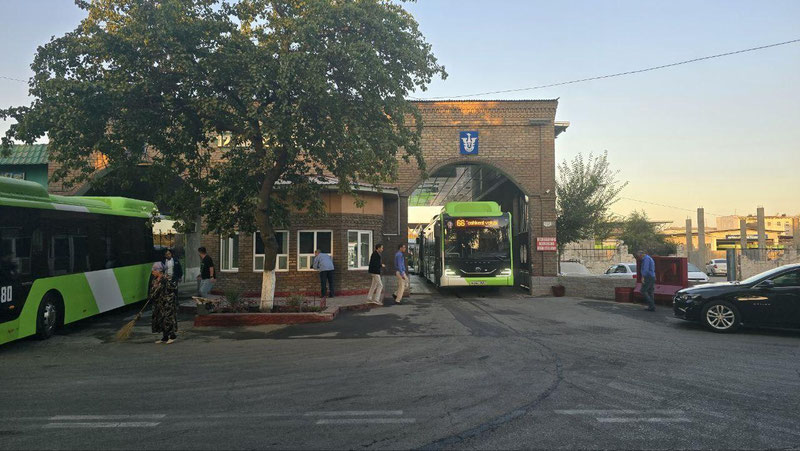 Image of 'In Tashkent, more than a thousand buses operate on educational institution routes.'