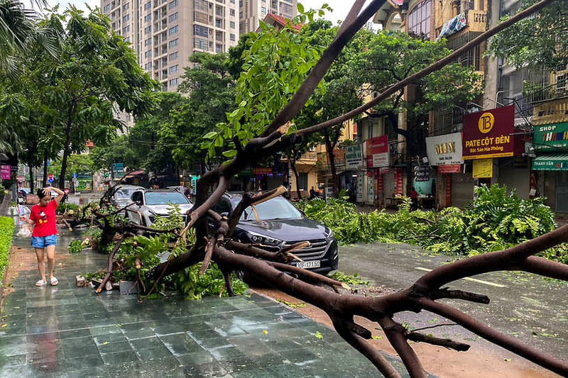 Image of 'Are there any citizens of Uzbekistan among those who died and were affected in the "Yagi" typhoon?'