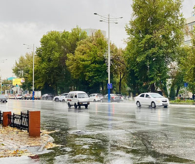 Изрображение 'В Ташкенте в первой половине дня возможен кратковременный дождь'