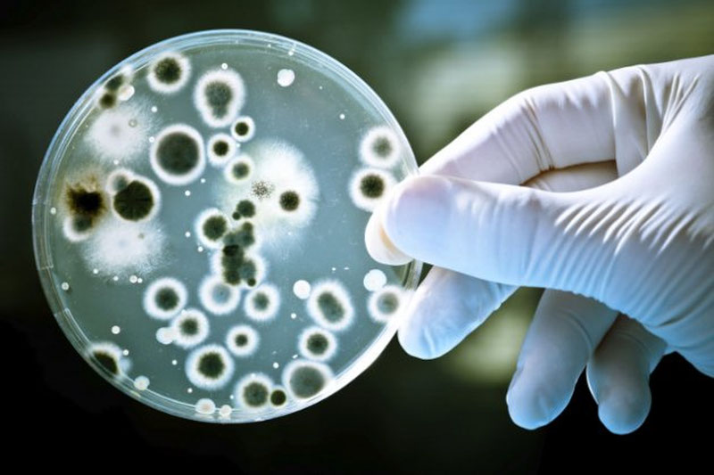 Image of 'Superbacteria could cause the death of nearly 40 million people within 25 years.'