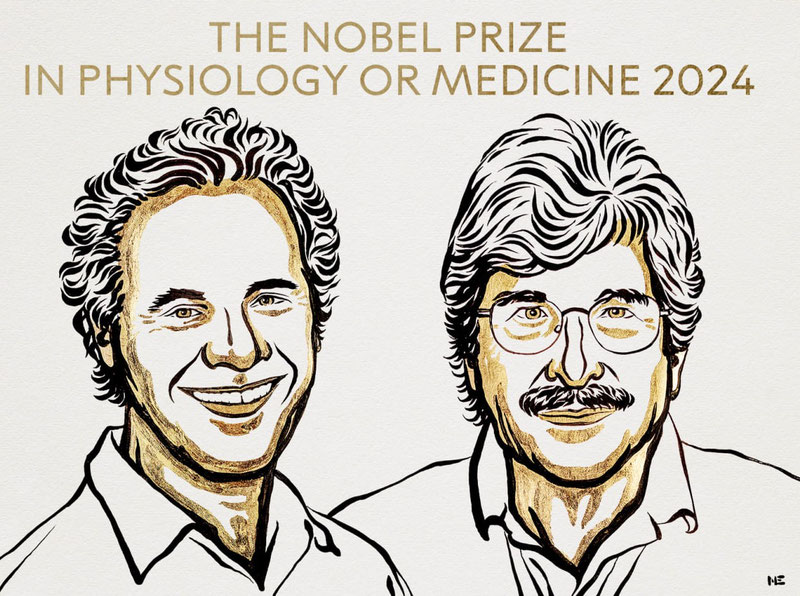 Image of 'The Nobel Prize winners in Medicine and Physiology have been announced.'